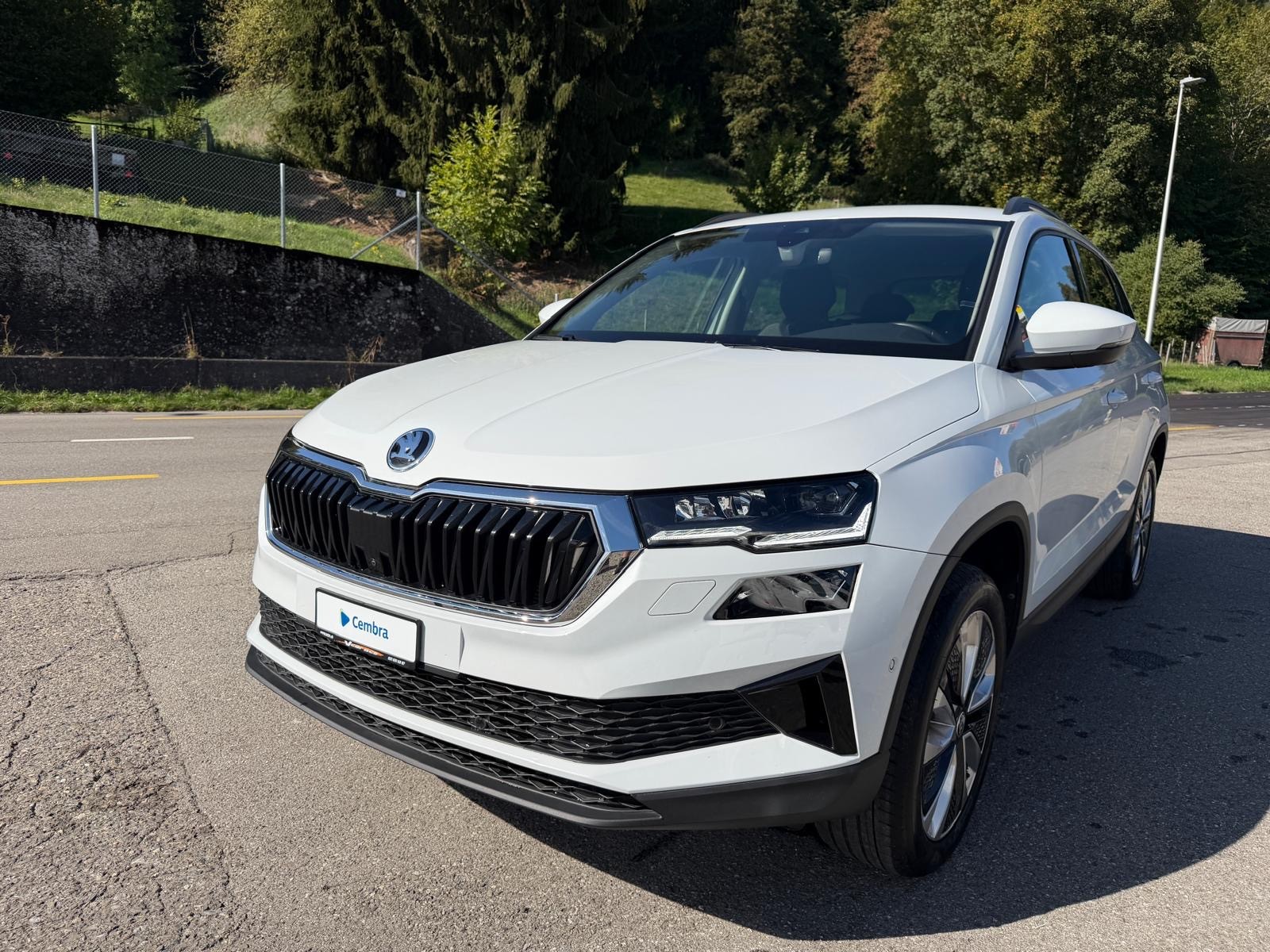 SKODA Karoq 2.0 TDI CR Selection 4x4 DSG-image-0