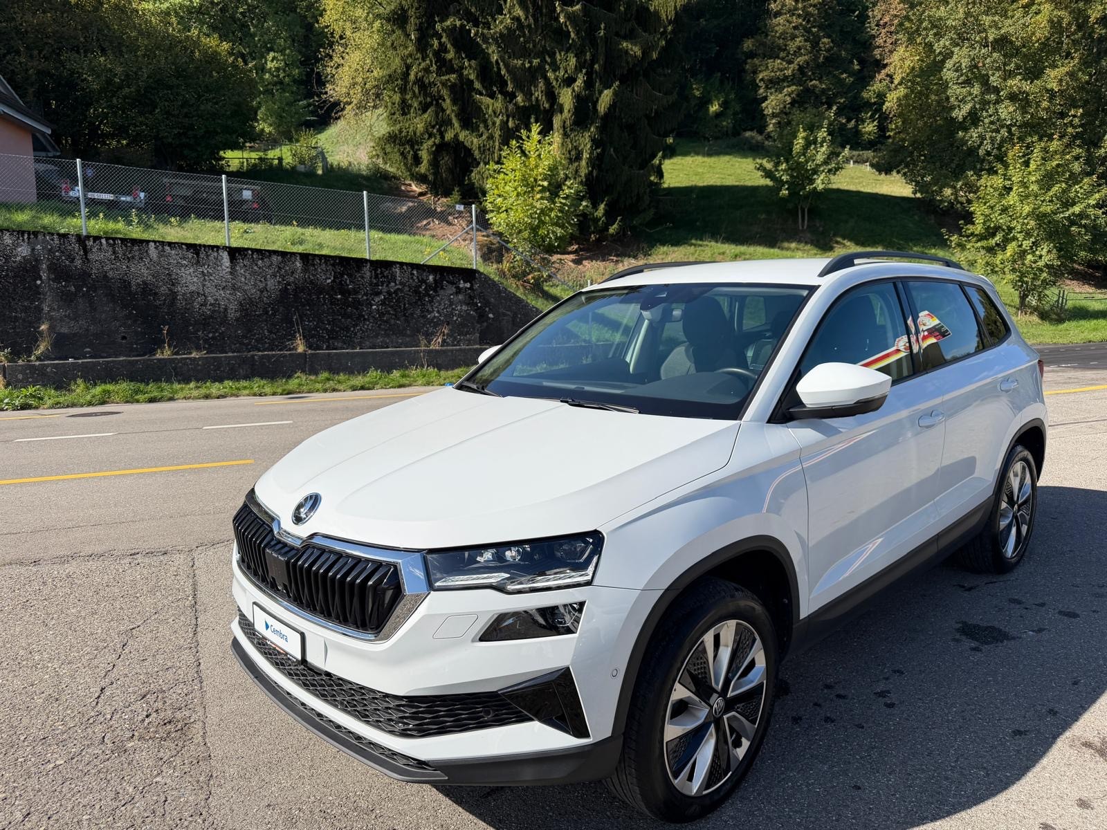 SKODA Karoq 2.0 TDI CR Selection 4x4 DSG-image-1
