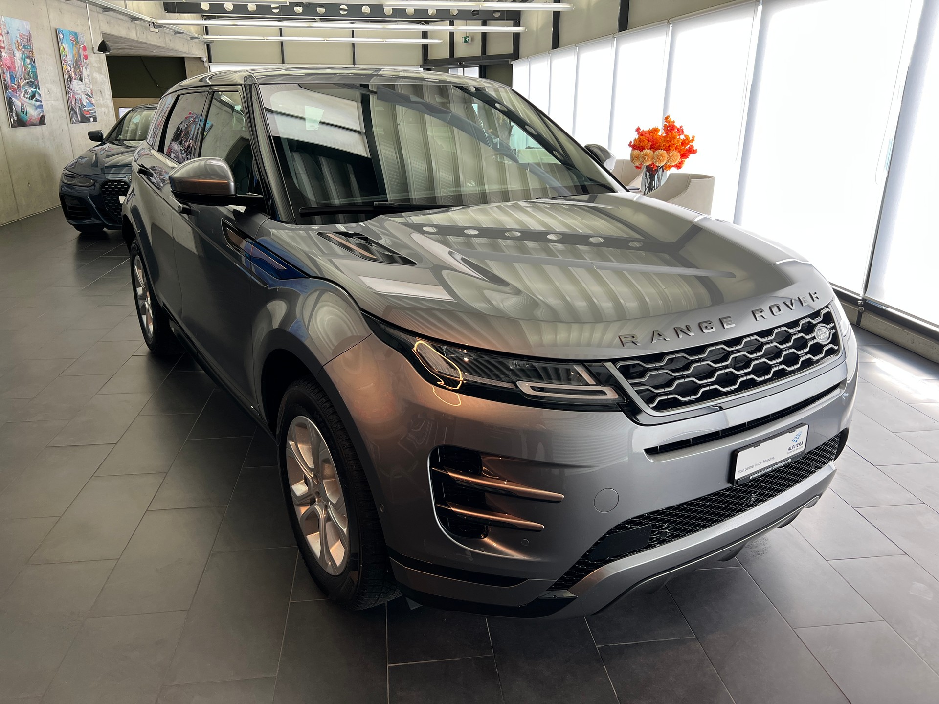 LAND ROVER Range Rover Evoque R-Dynamic P 250 SE AT9-image-1