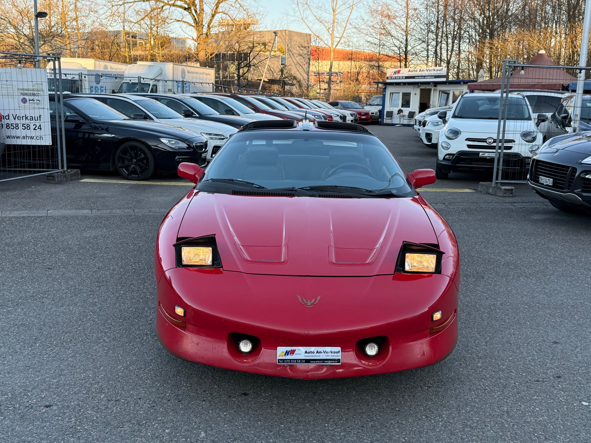 PONTIAC Firebird 5.7 V8 Trans Am-image-2