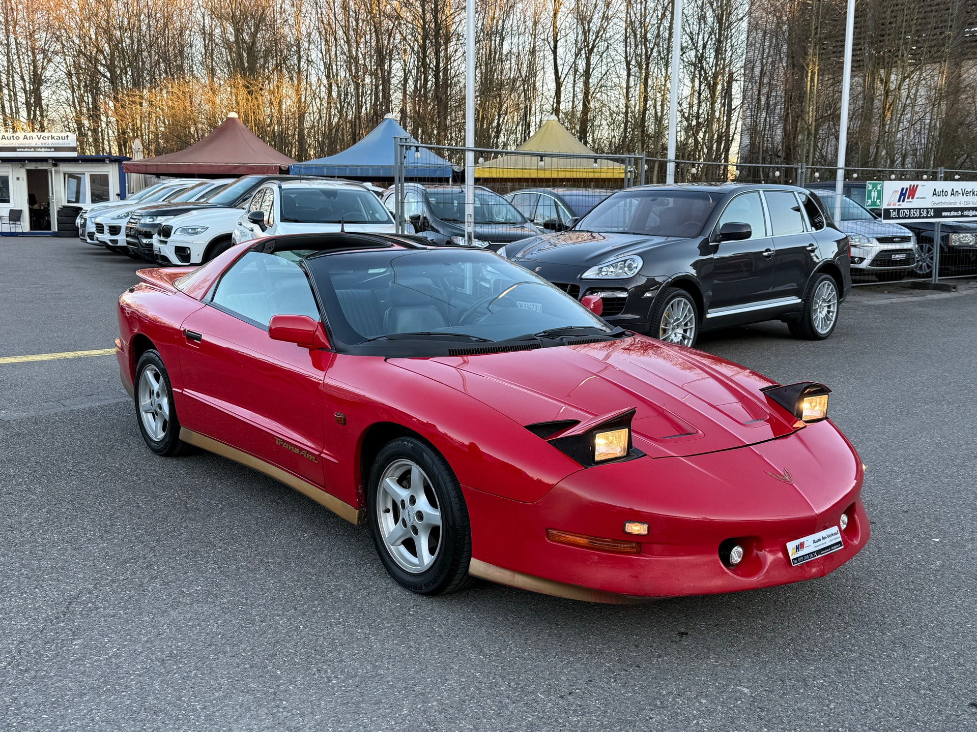PONTIAC Firebird 5.7 V8 Trans Am-image-4