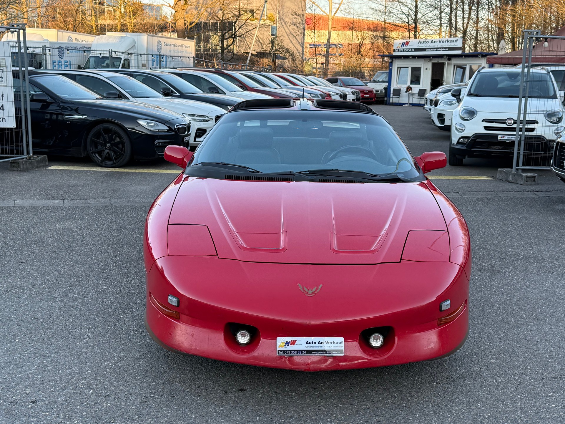 PONTIAC Firebird 5.7 V8 Trans Am-image-3