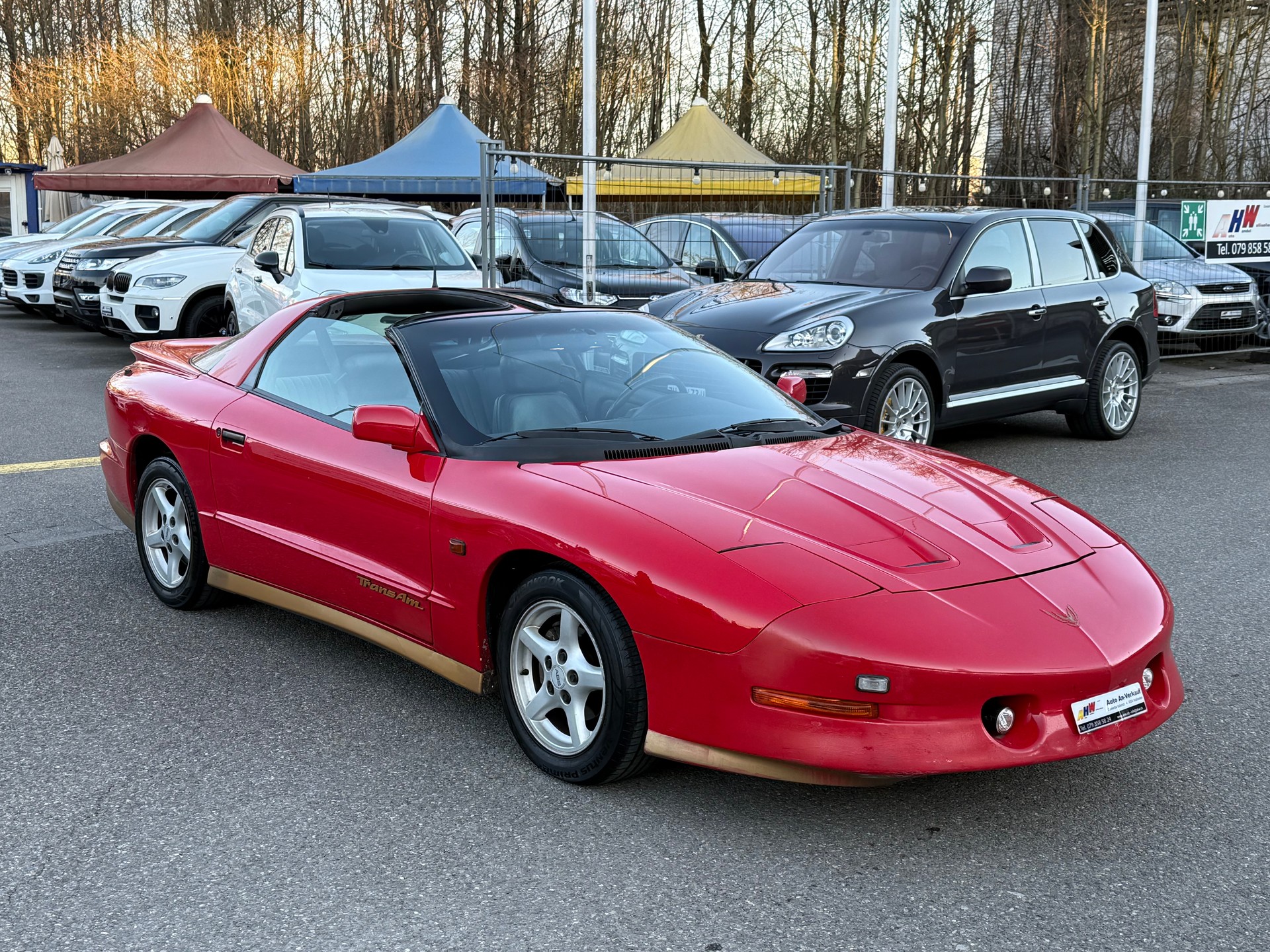 PONTIAC Firebird 5.7 V8 Trans Am-image-5