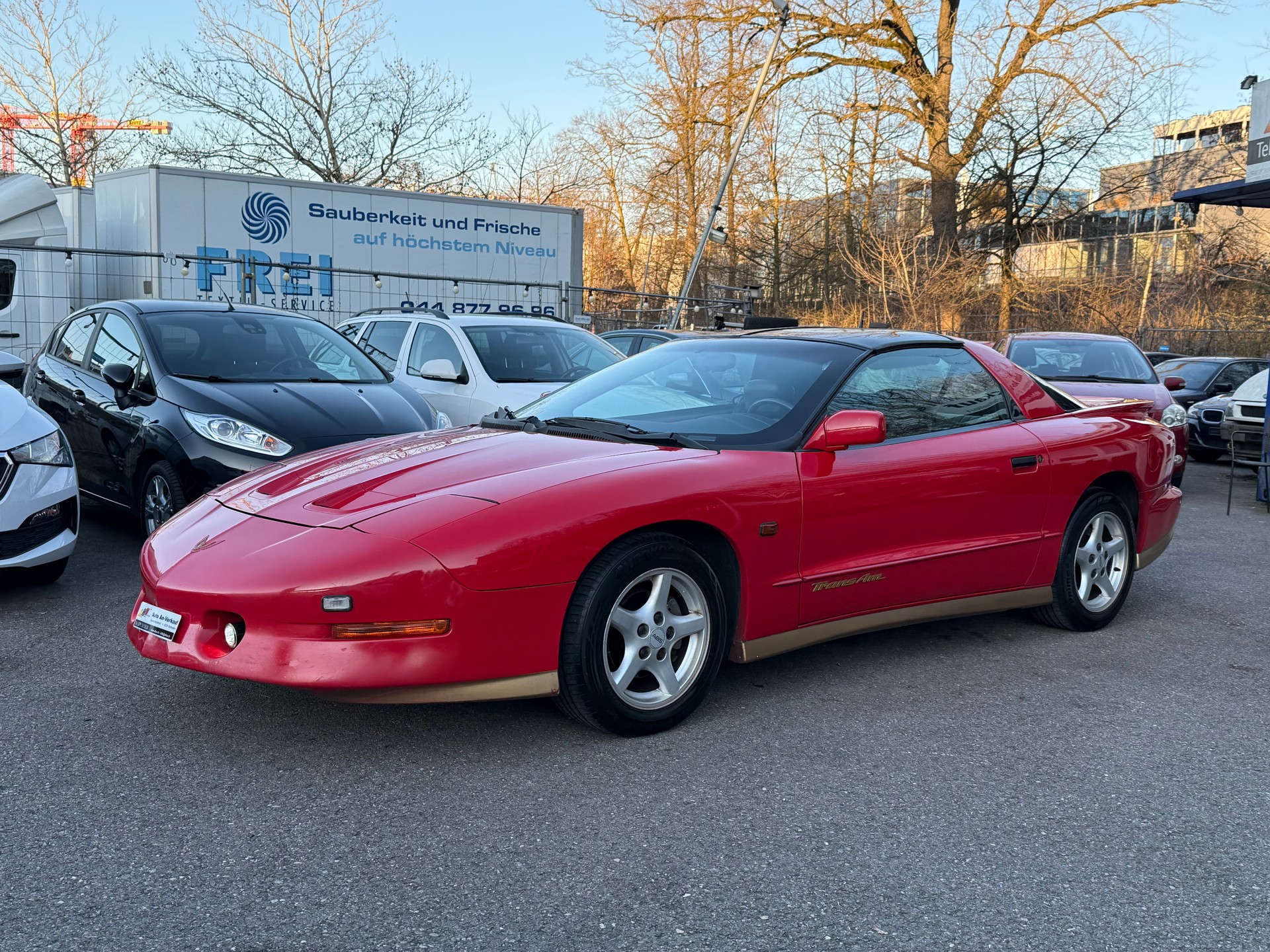 PONTIAC Firebird 5.7 V8 Trans Am-image-10