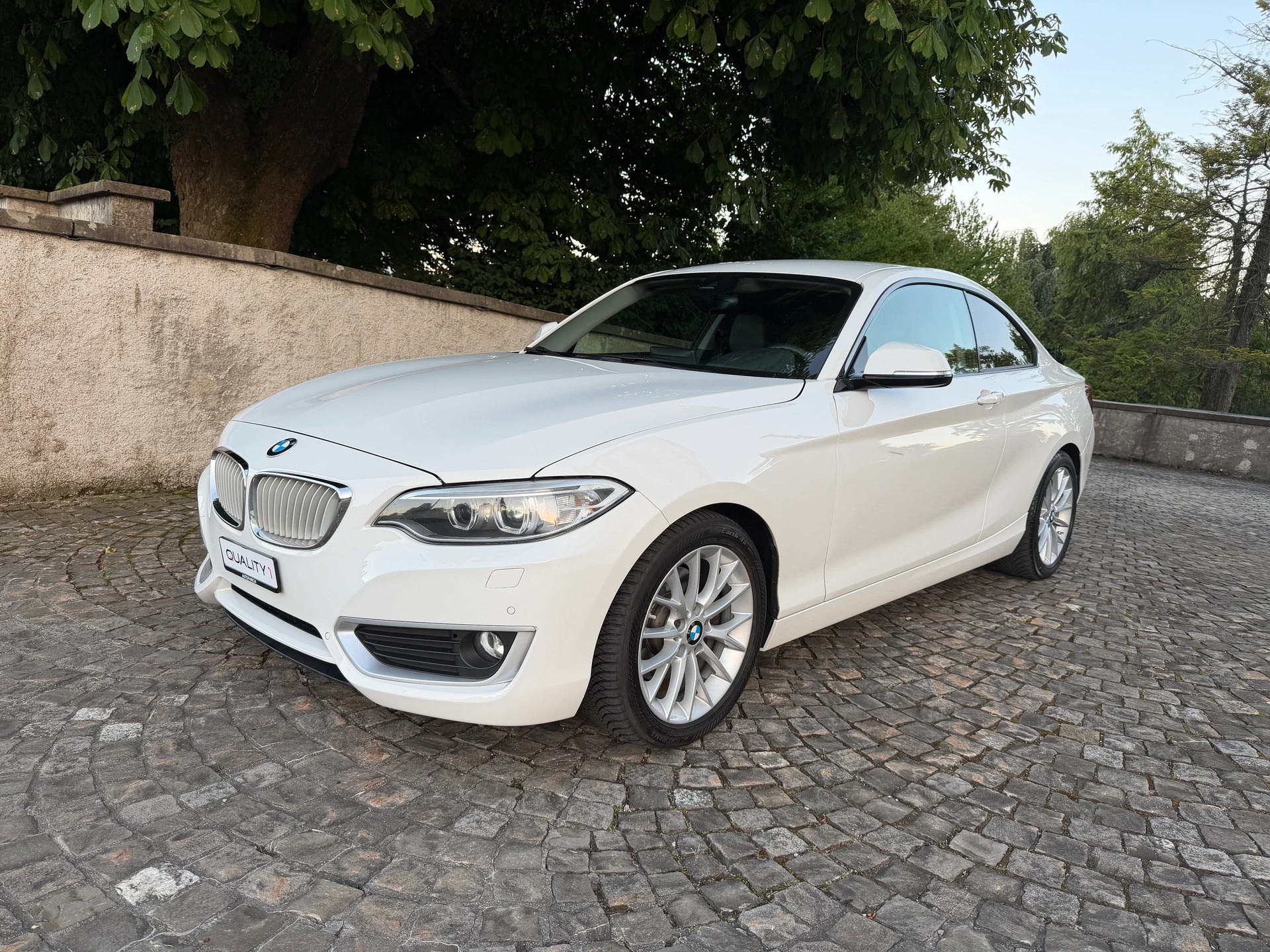BMW 220i Modern Line / CH-Fahrzeug / Frisch ab MFK / Service gepflegt / 8 Fach / Leder / Xenon / Navi / ACC / DAB-image-0
