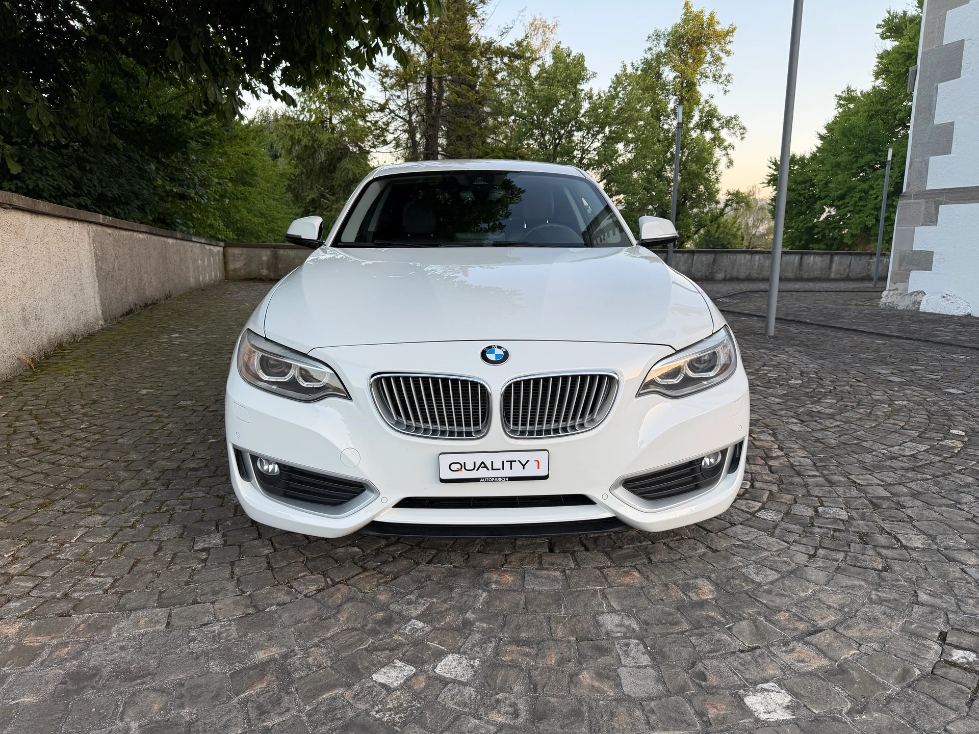 BMW 220i Modern Line / CH-Fahrzeug / Frisch ab MFK / Service gepflegt / 8 Fach / Leder / Xenon / Navi / ACC / DAB-image-1