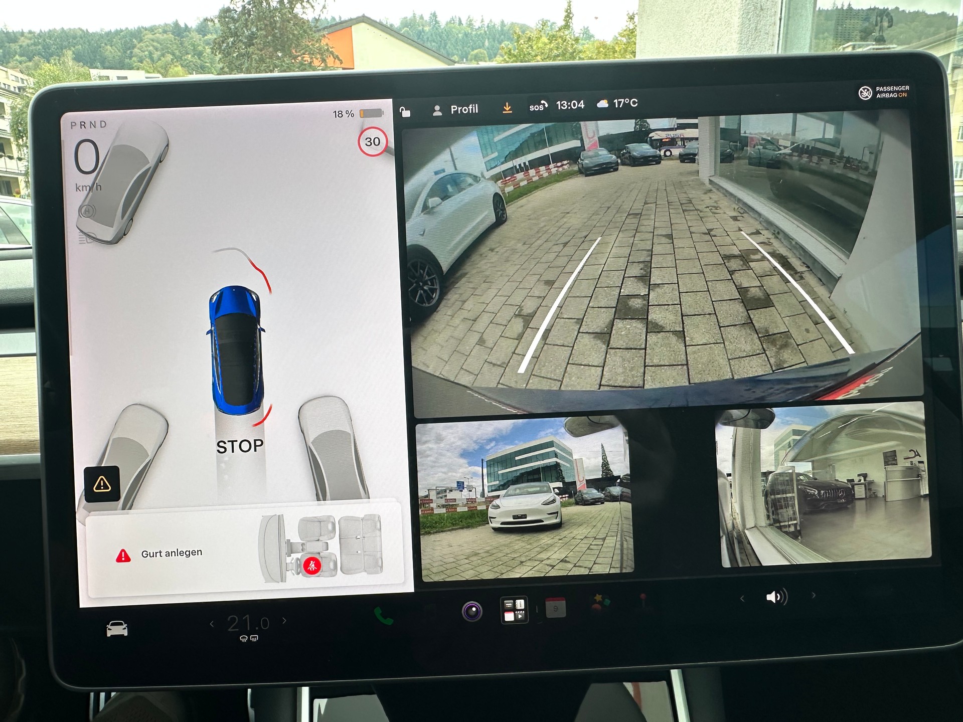 TESLA TESLA Model 3 Performance Dual Motor AWD-image-12
