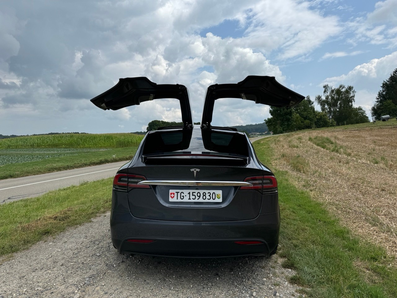 TESLA Model X 100D-image-5