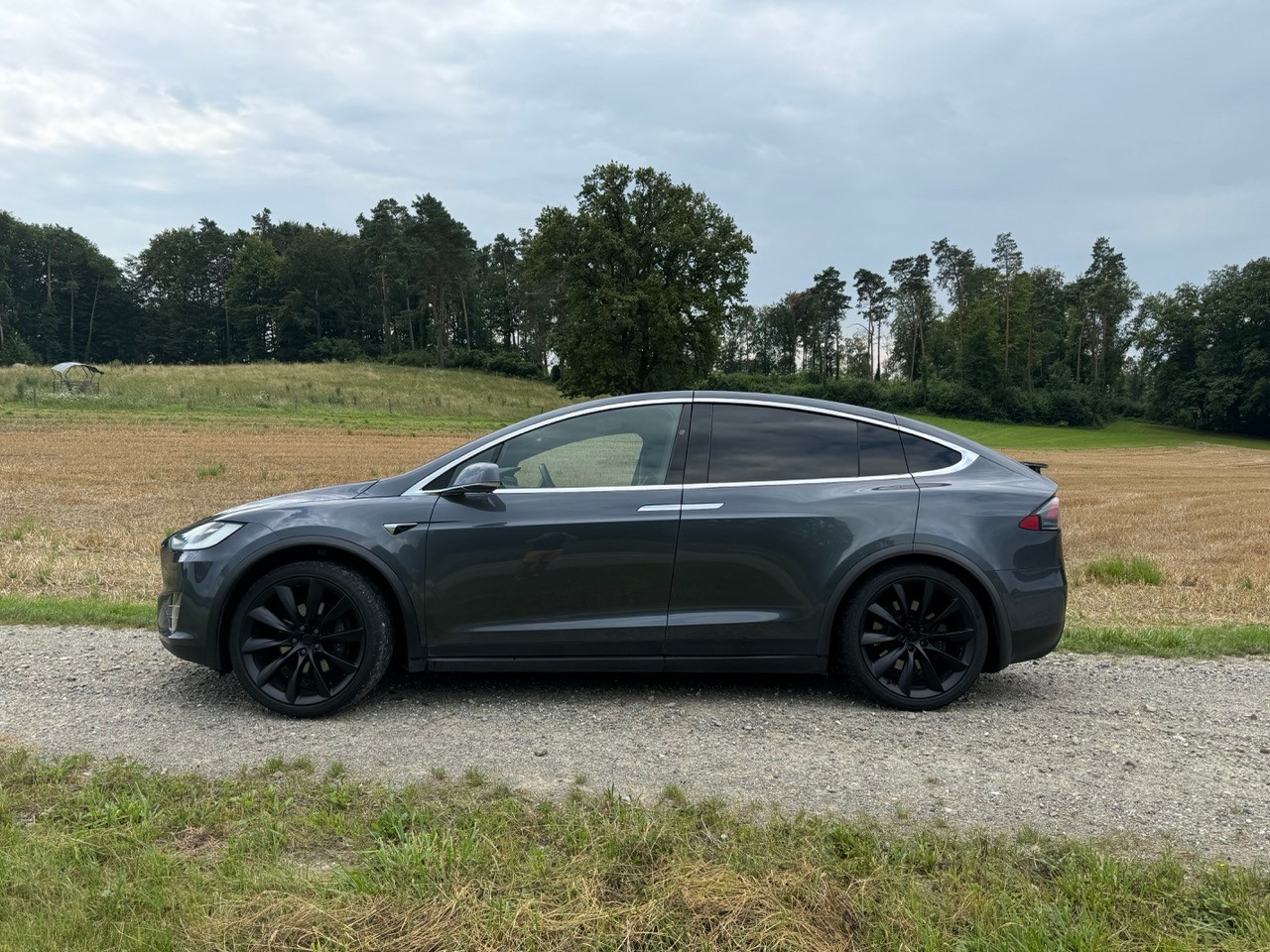 TESLA Model X 100D-image-1