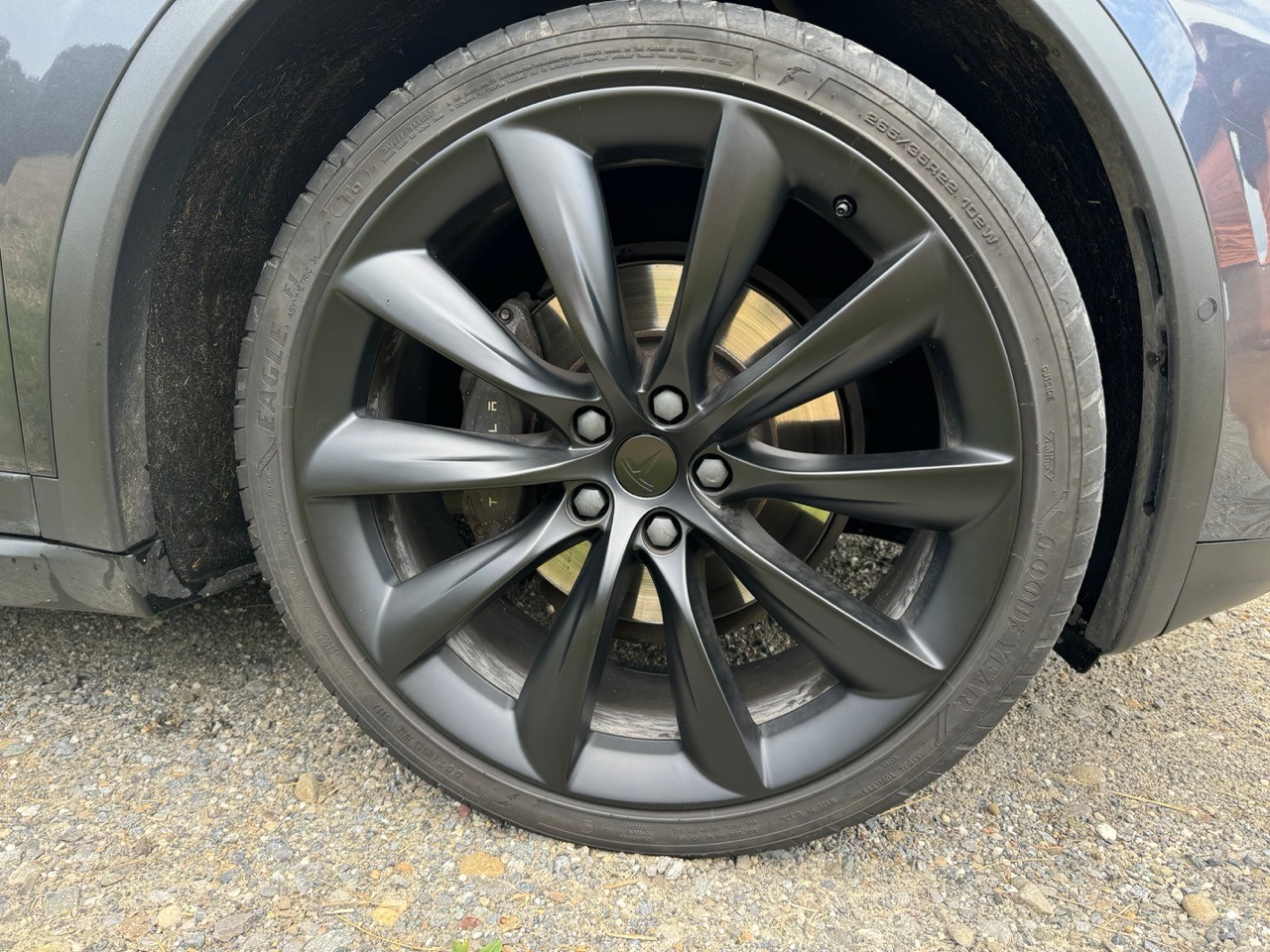 TESLA Model X 100D-image-2