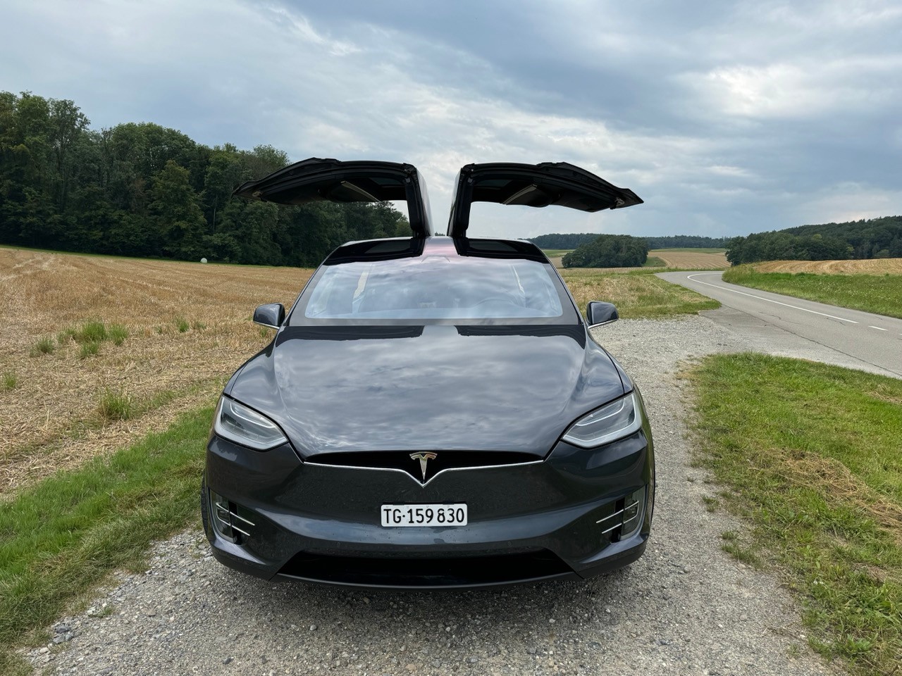 TESLA Model X 100D-image-0