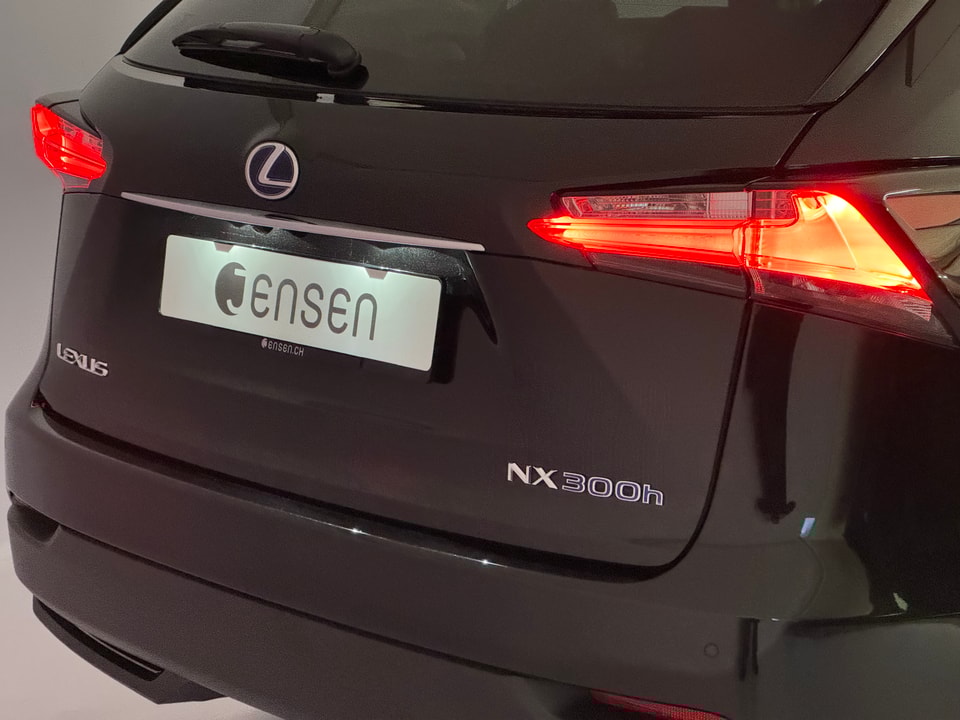 NX 300h Excellence AWD Voll-Hybrid