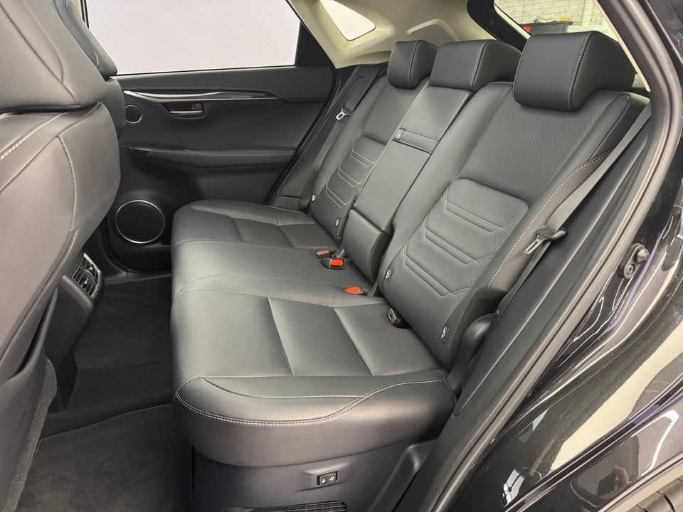 NX 300h Excellence AWD Voll-Hybrid