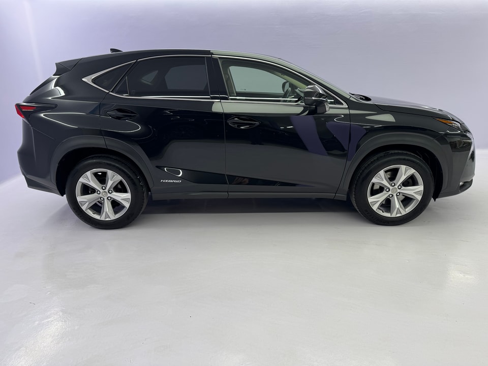 NX 300h Excellence AWD Voll-Hybrid