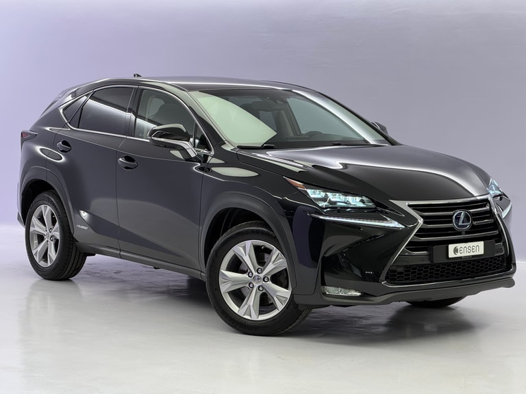 NX 300h Excellence AWD Voll-Hybrid