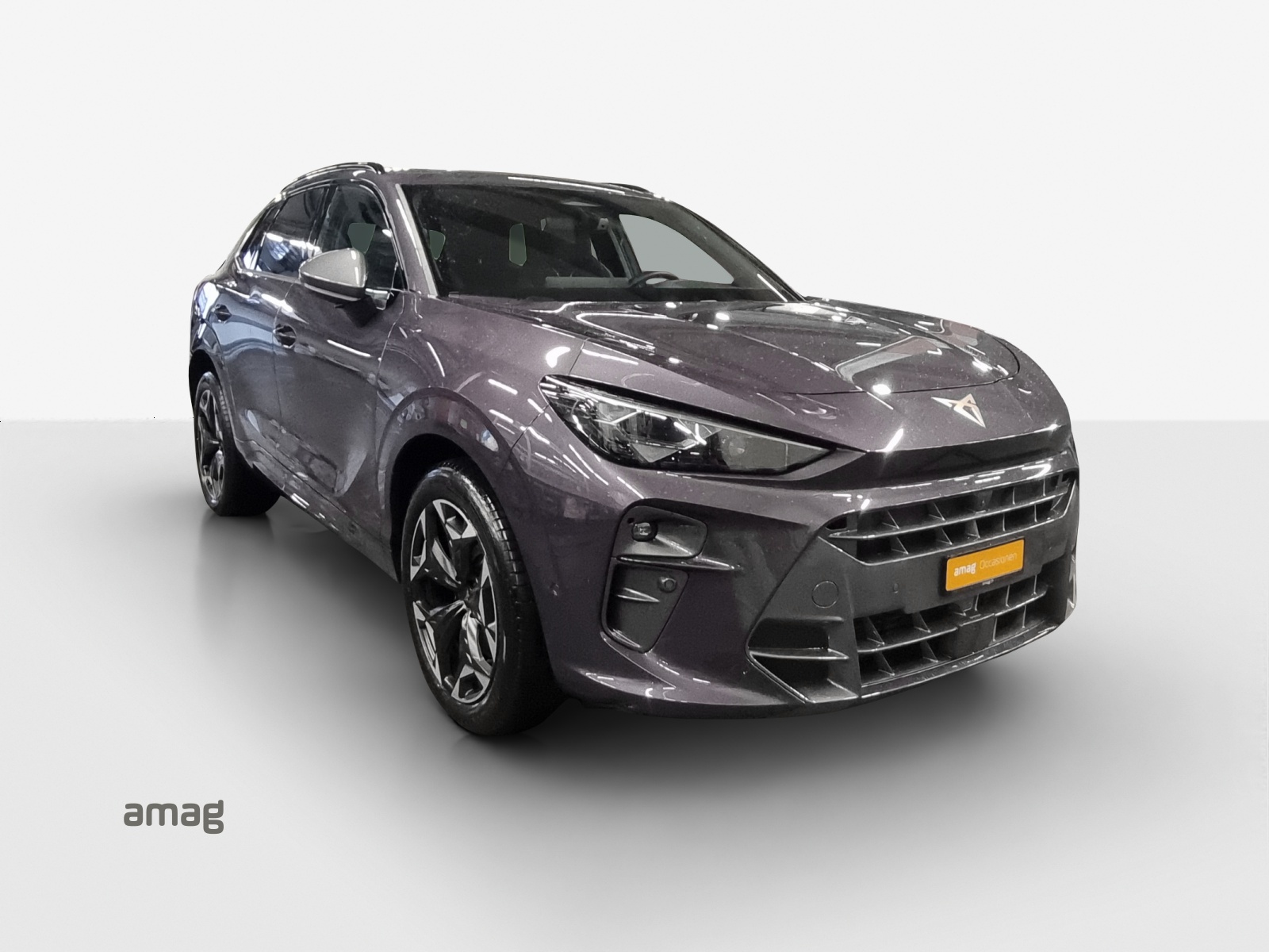 CUPRA Terramar 2.0 TSI DSG 4Drive VZ-image-5