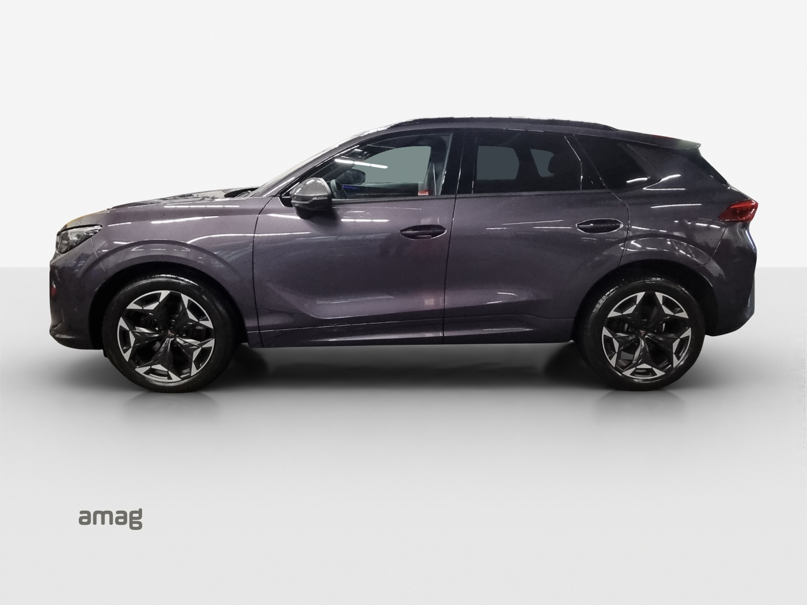 CUPRA Terramar 2.0 TSI DSG 4Drive VZ-image-1