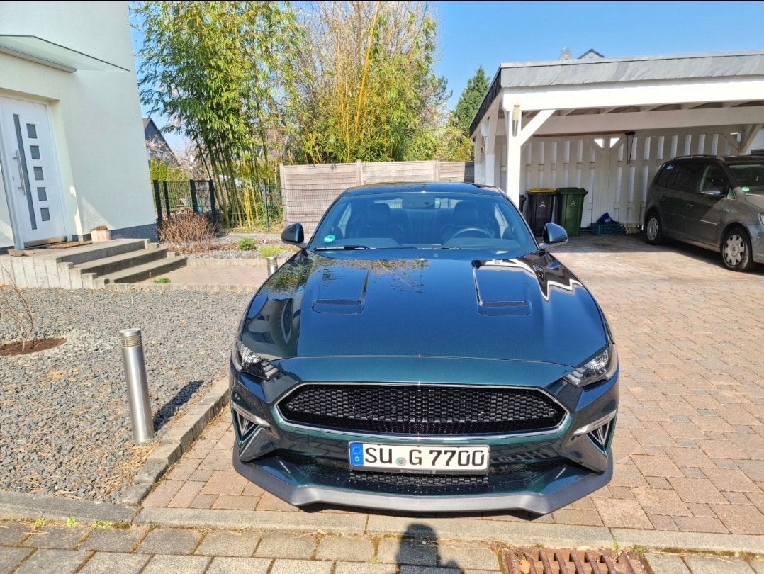 FORD Bullitt-image-1