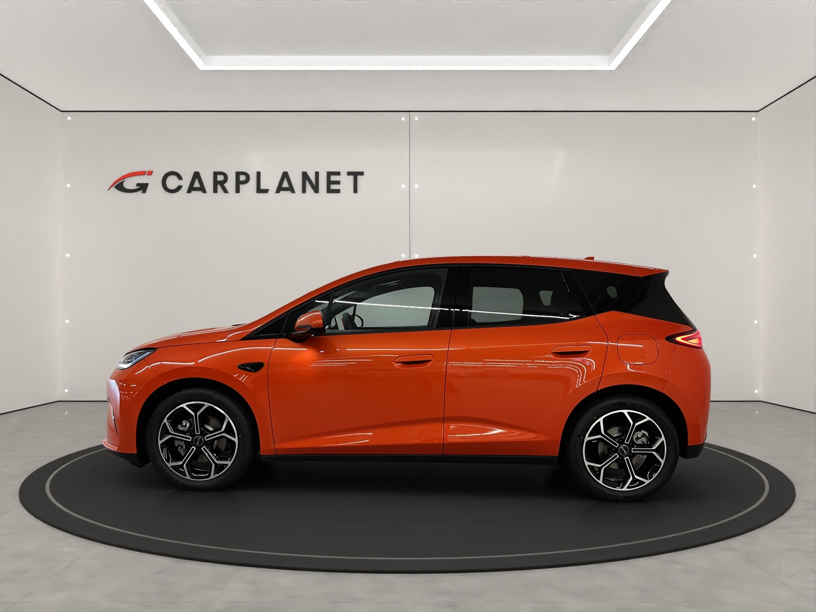 BYD Dolphin G DM-i Comfort-showroom-element-2