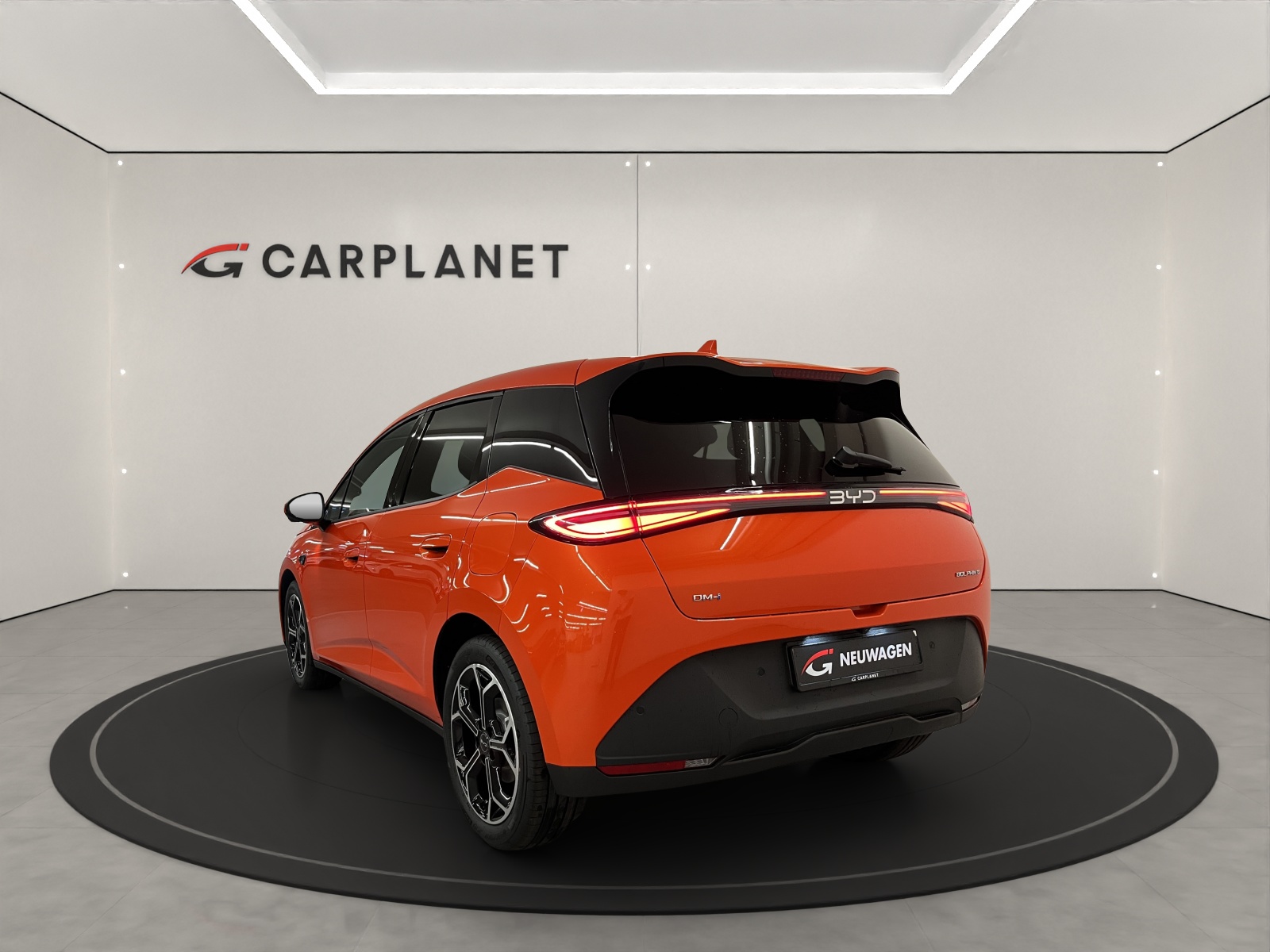 BYD Dolphin G DM-i Comfort-showroom-element-3