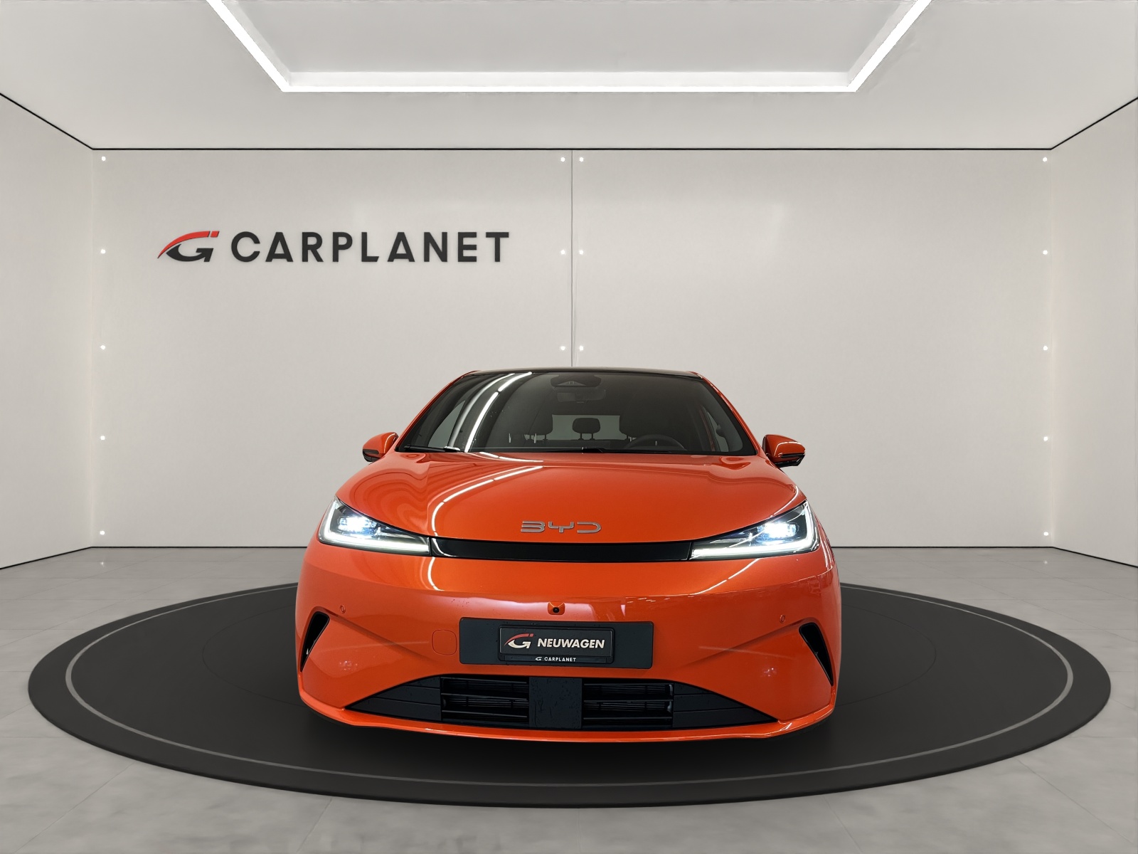 BYD Dolphin G DM-i Comfort-showroom-element-1