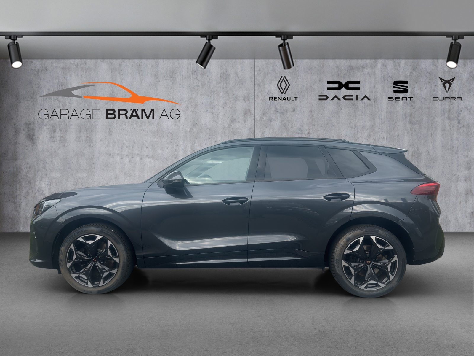 CUPRA Terramar 2.0 TSI DSG 4Drive VZ-image-2