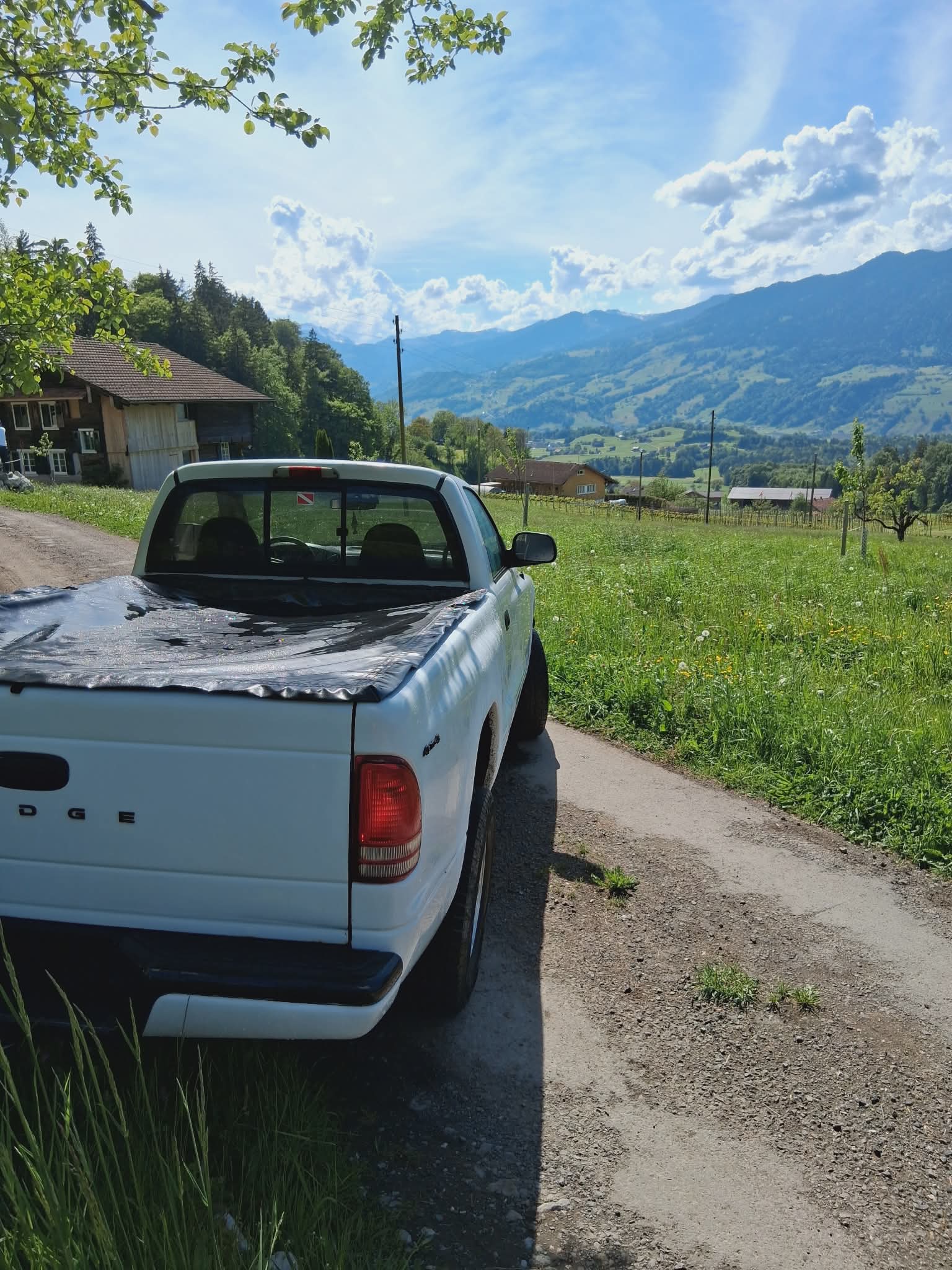 DODGE Dodge Dakota 3.9l V6-image-5