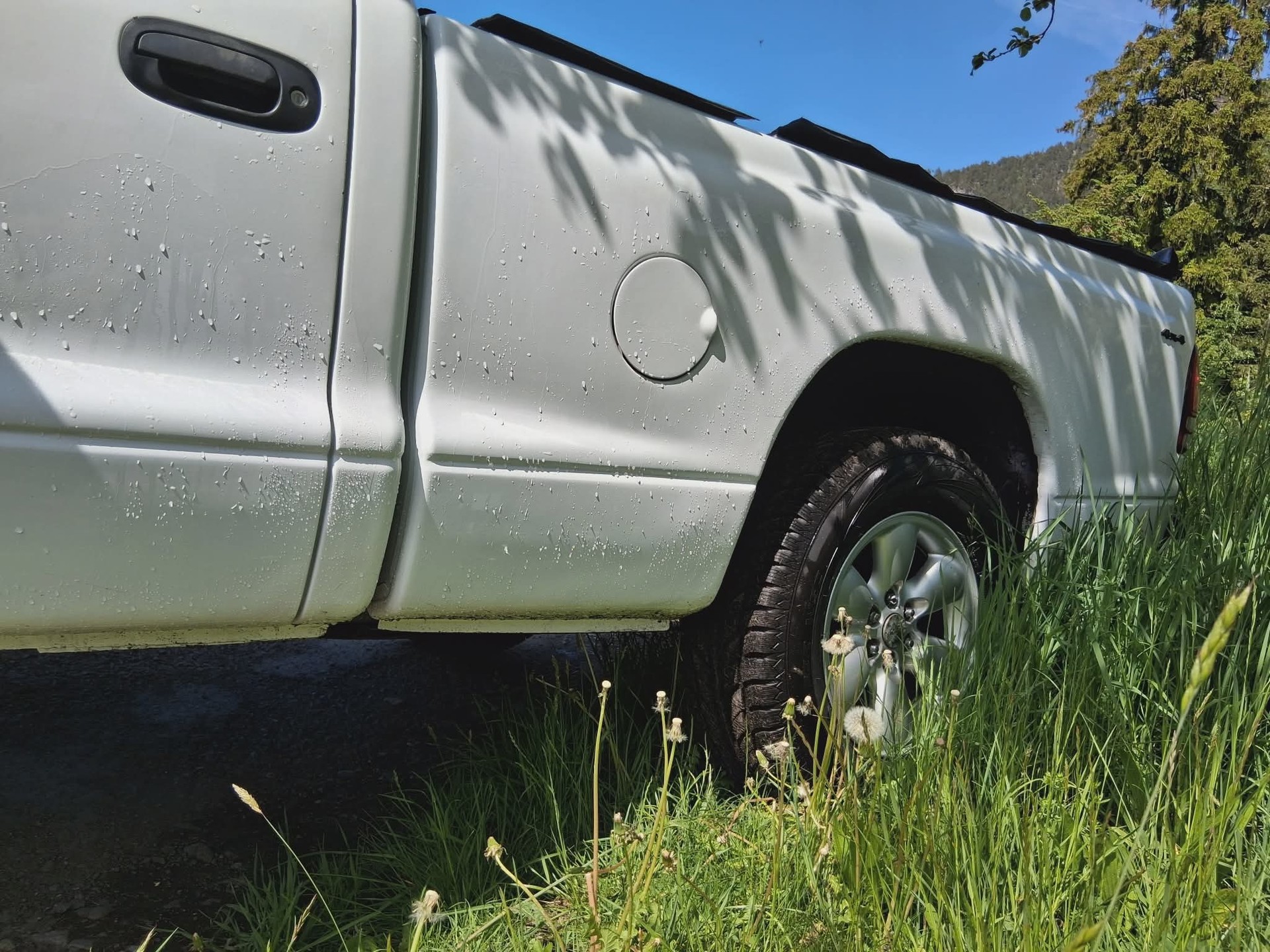 DODGE Dodge Dakota 3.9l V6-image-12