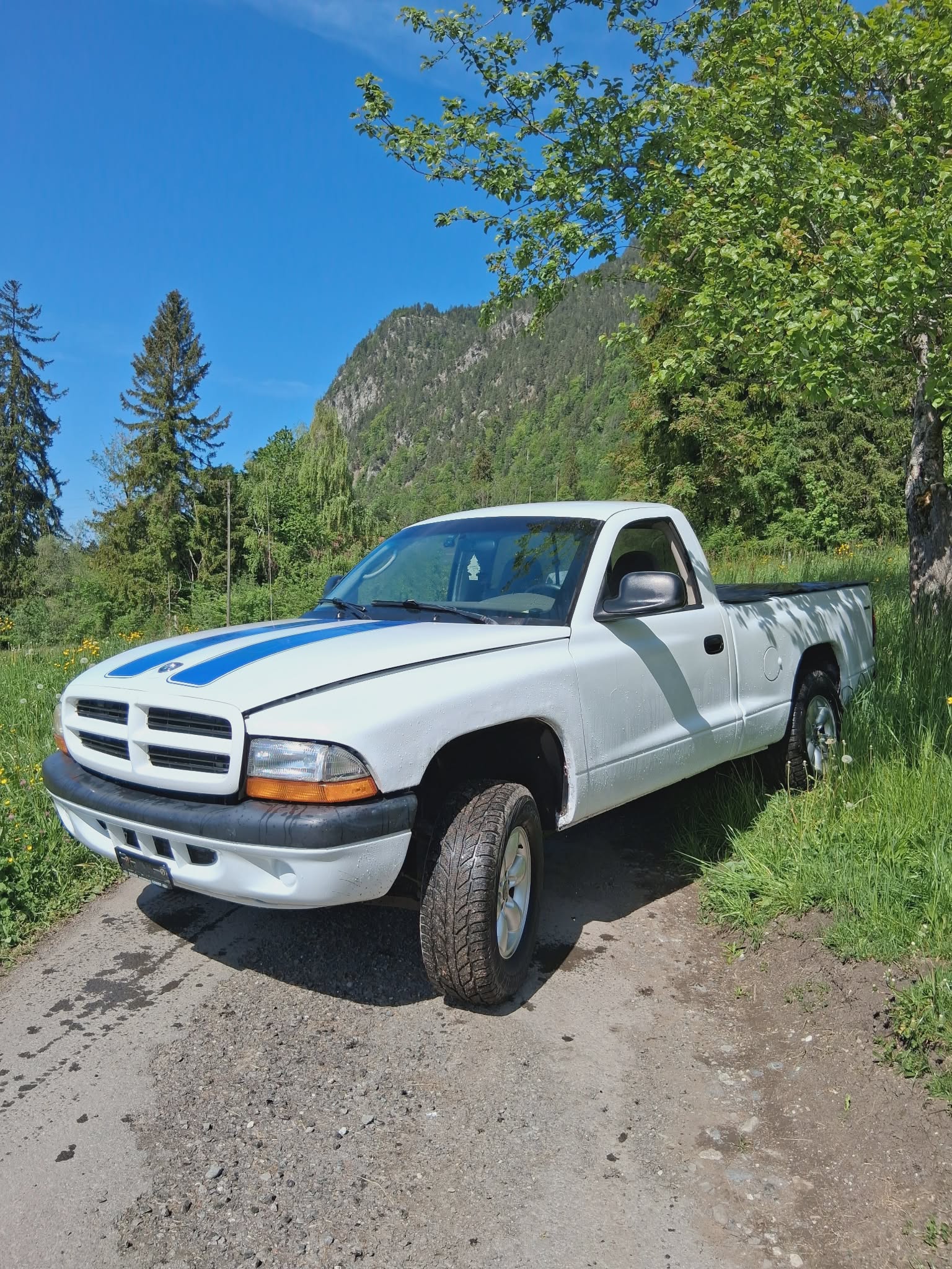 DODGE Dodge Dakota 3.9l V6