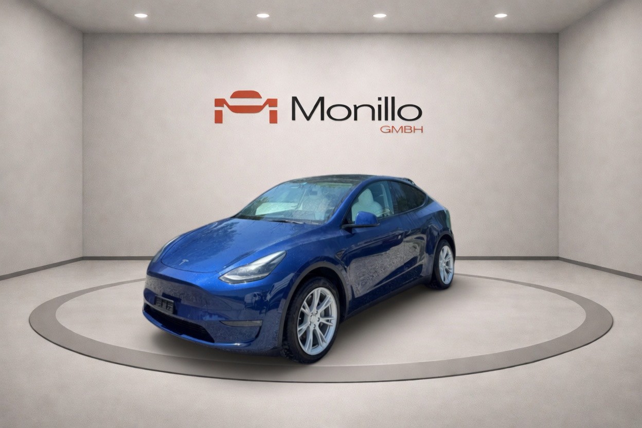 TESLA Model Y Long Range-image-0