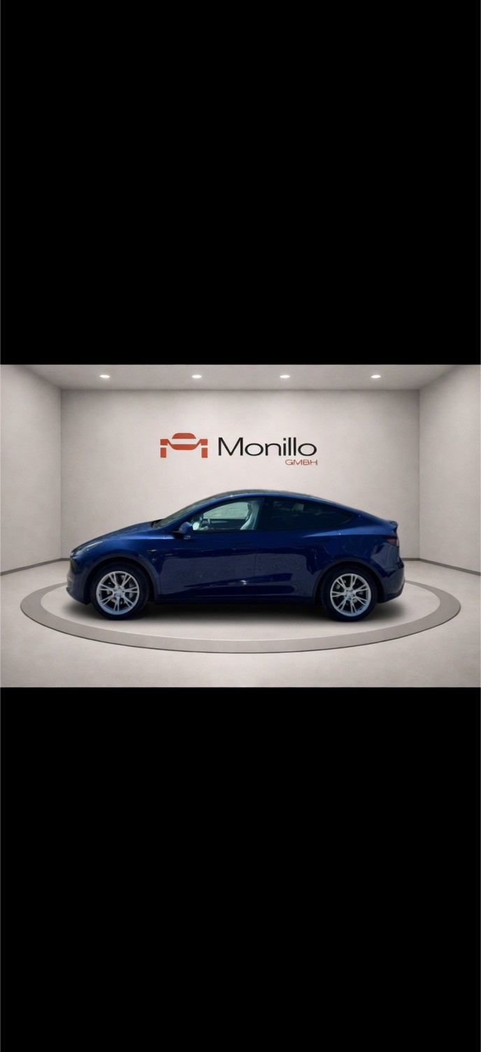 TESLA Model Y Long Range-image-3