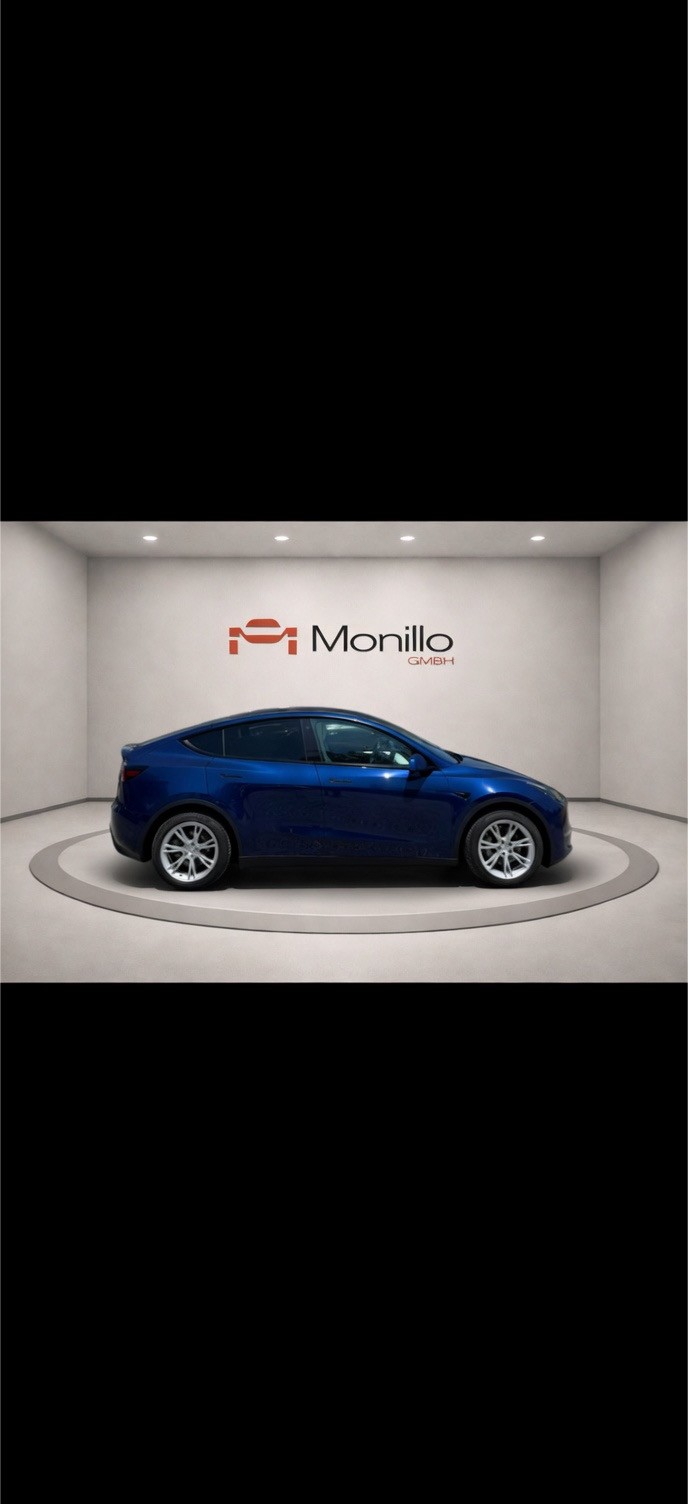 TESLA Model Y Long Range-image-2