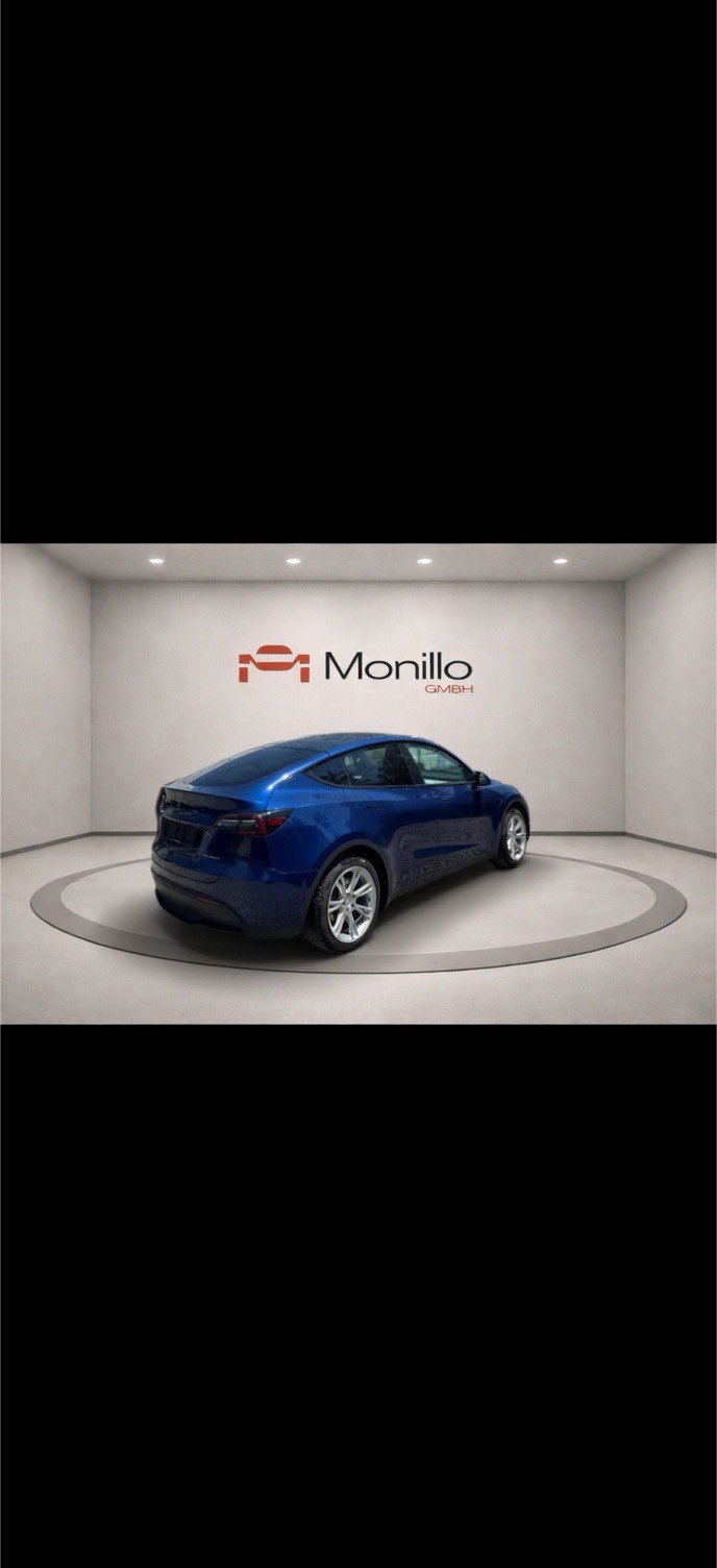 TESLA Model Y Long Range-image-5