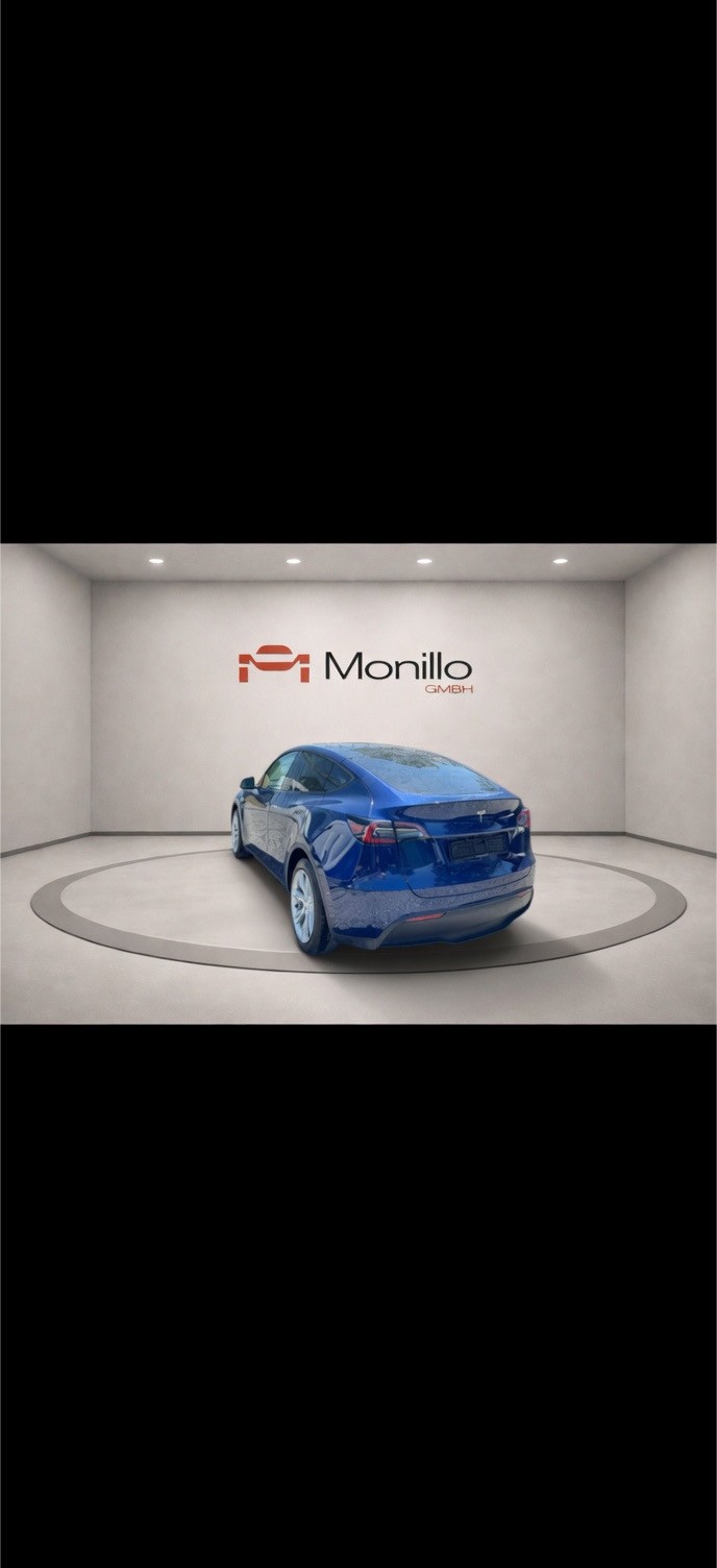 TESLA Model Y Long Range-image-4