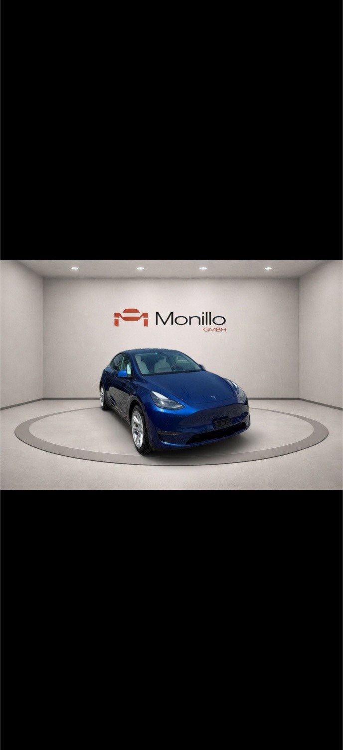 TESLA Model Y Long Range-image-1