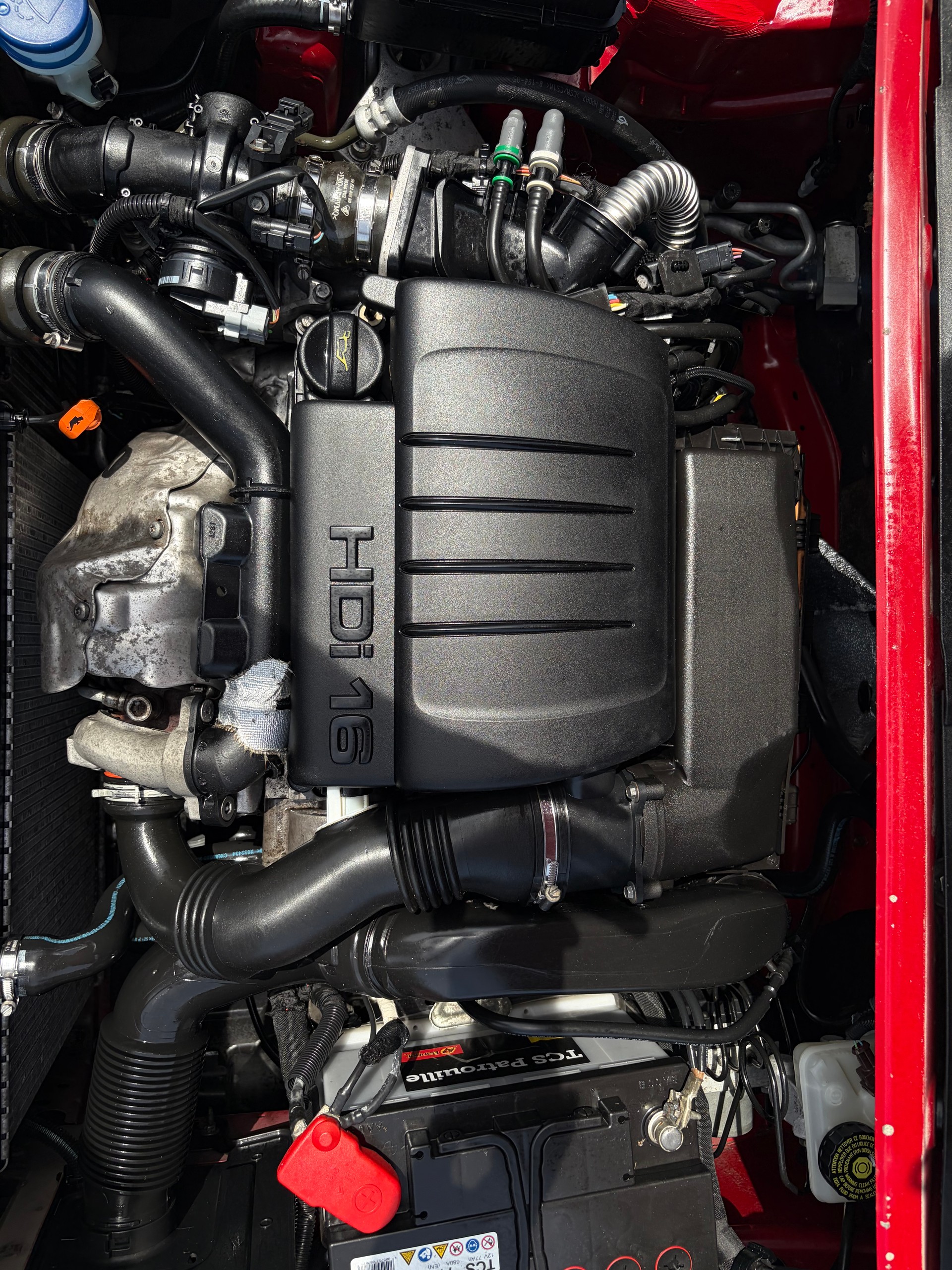 CITROEN Berlingo 1.6 HDi-image-8