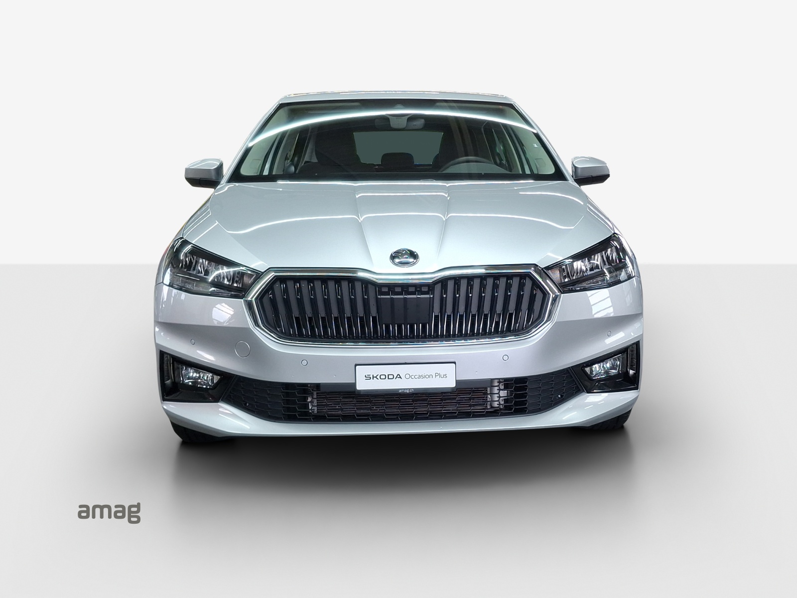 SKODA Fabia 1.0 TSI Dynamic DSG-image-6