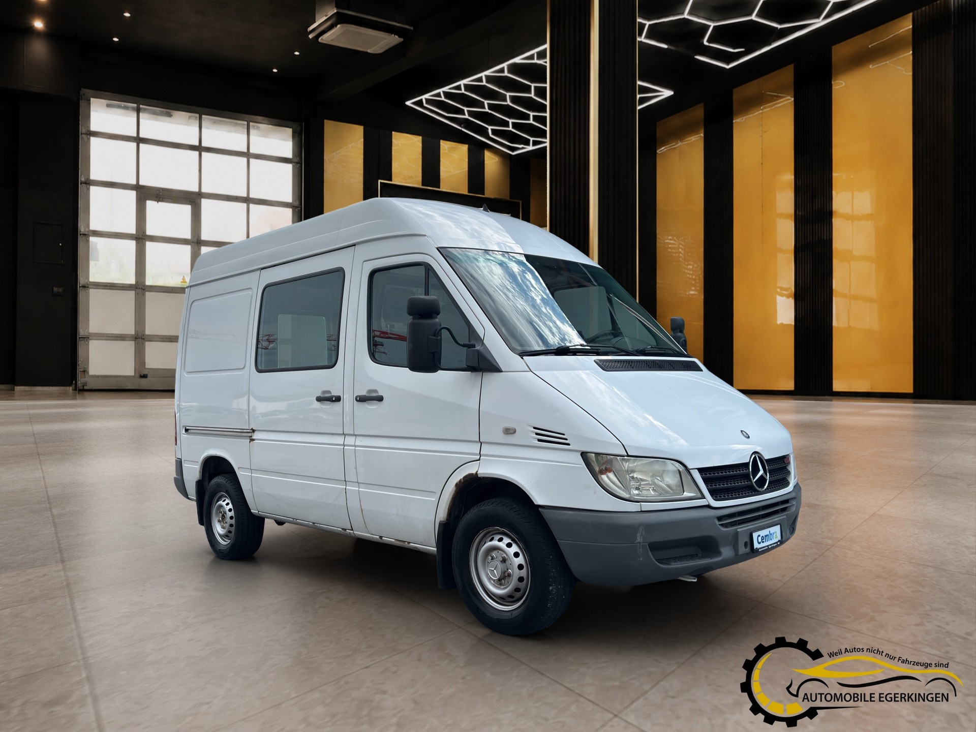 MERCEDES-BENZ Sprinter 313 CDI-image-2