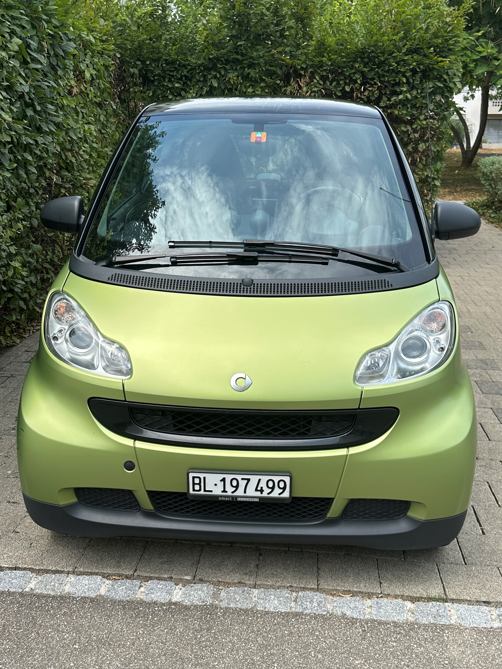 SMART 1000 61 Pure mhd-image-0