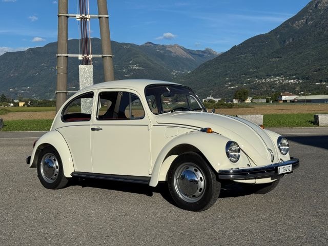 VW Käfer-image-2