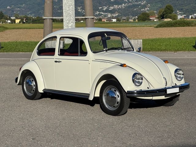 VW Käfer-image-0