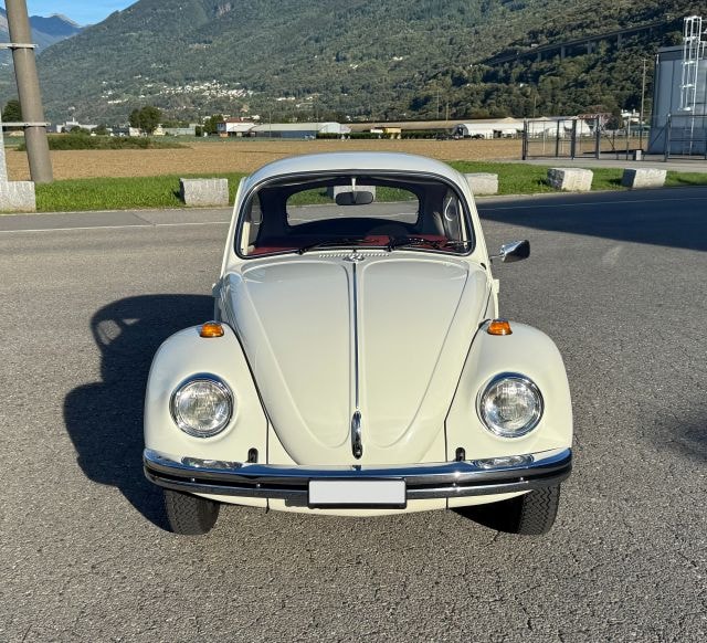 VW Käfer-image-6