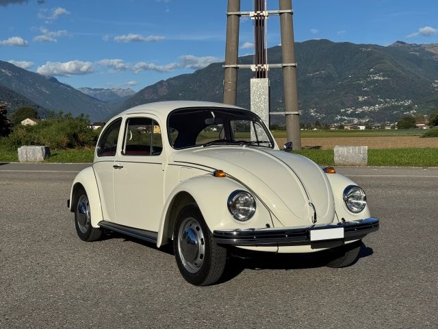 VW Käfer-image-1