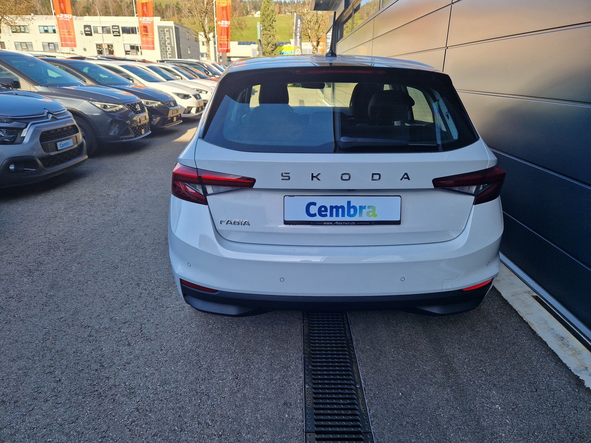 SKODA Fabia 1.0 TSI Dynamic DSG-image-5