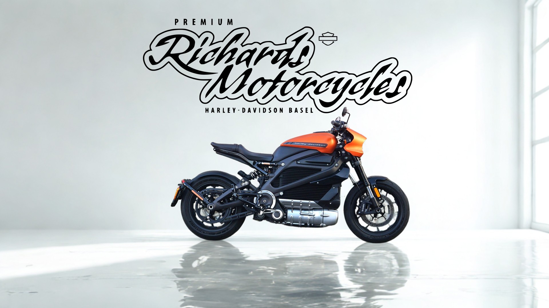 HARLEY-DAVIDSON Live Wire