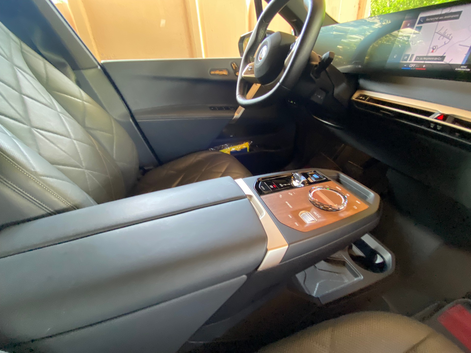 BMW iX xDrive40-image-3