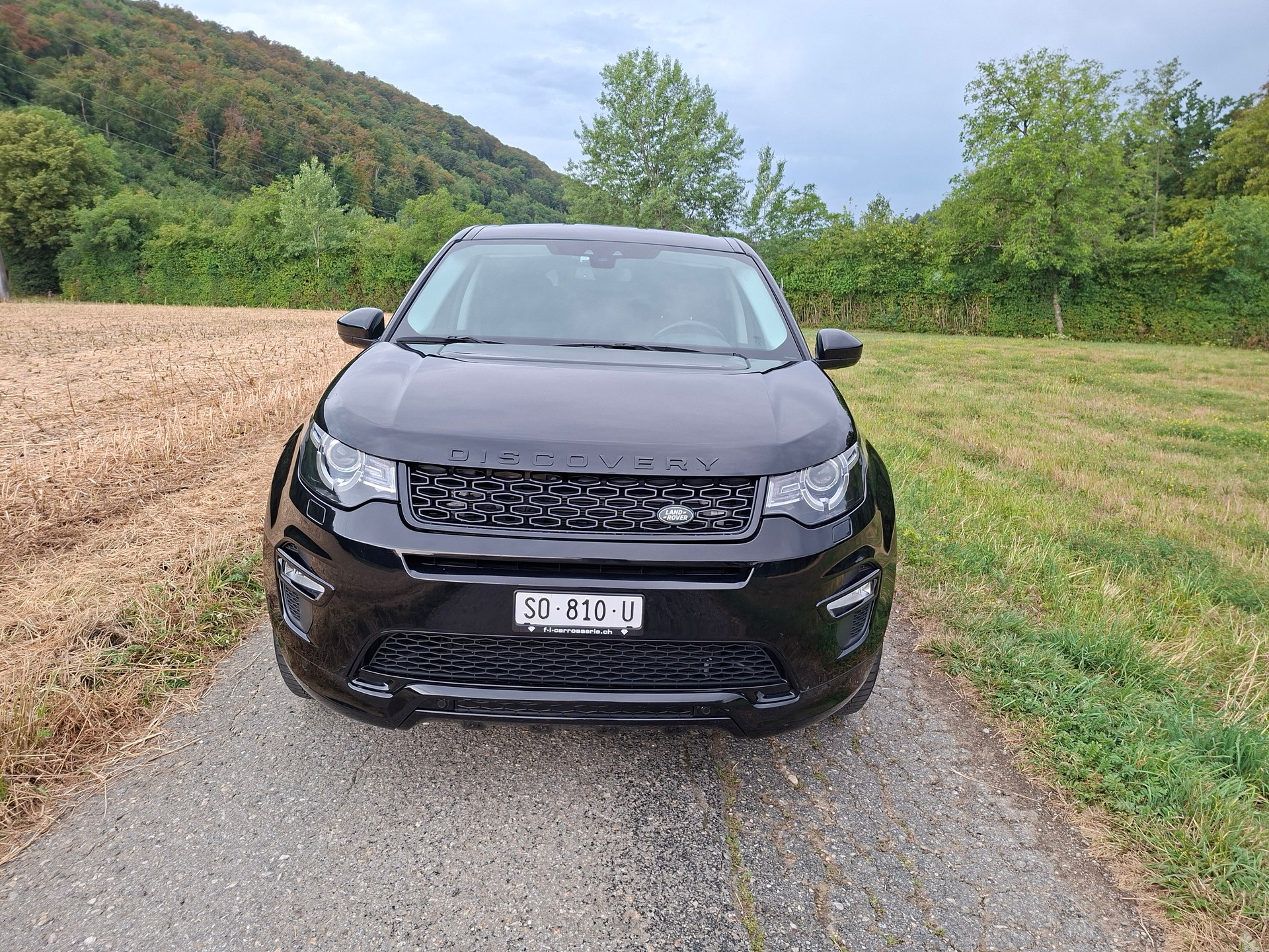 LAND ROVER Discovery Sport 2.0 SD4 SE AT9-image-2