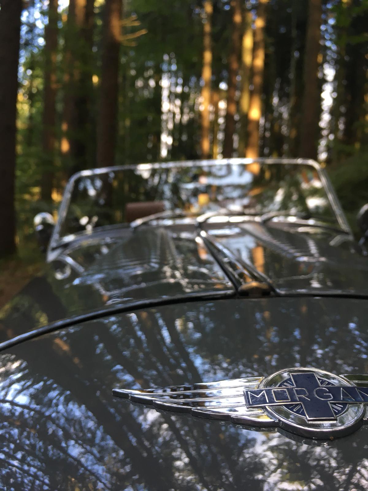 MORGAN Sport-image-2
