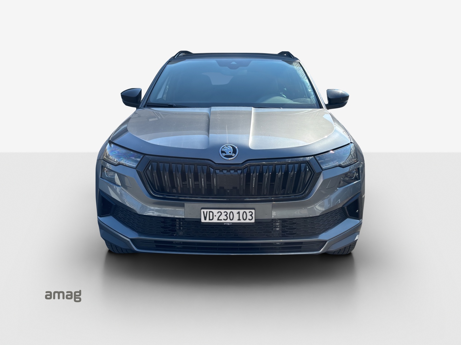 SKODA Karoq 1.5 TSI SportLine DSG-image-6