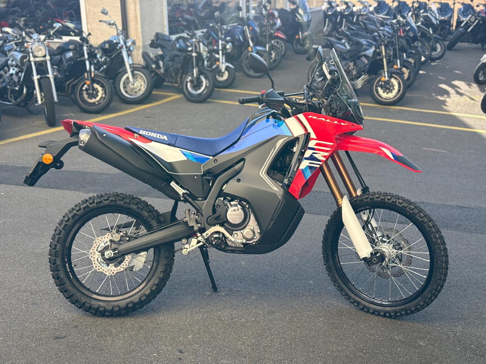 HONDA CRF 300 RL Rally-showroom-element-2